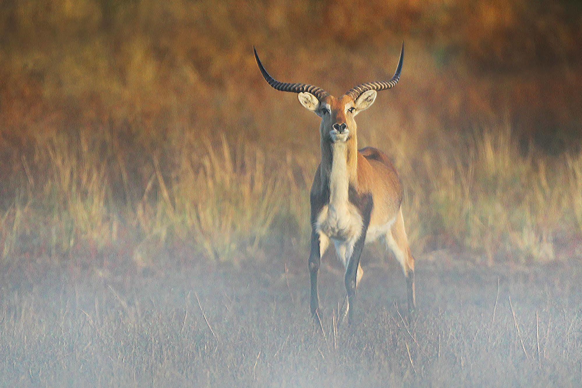 Bona Bona Game Lodge Wolmaranstad Dış mekan fotoğraf